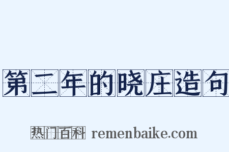 第二年的晓庄造句是什么意思的图片